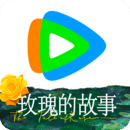 丝绸的故事文章阅读